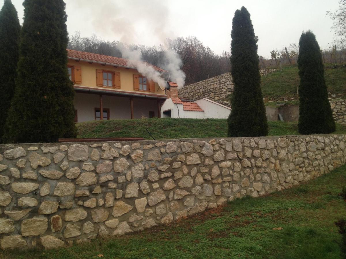 Judit Vendeghaz Suemeg Hotel Luaran gambar
