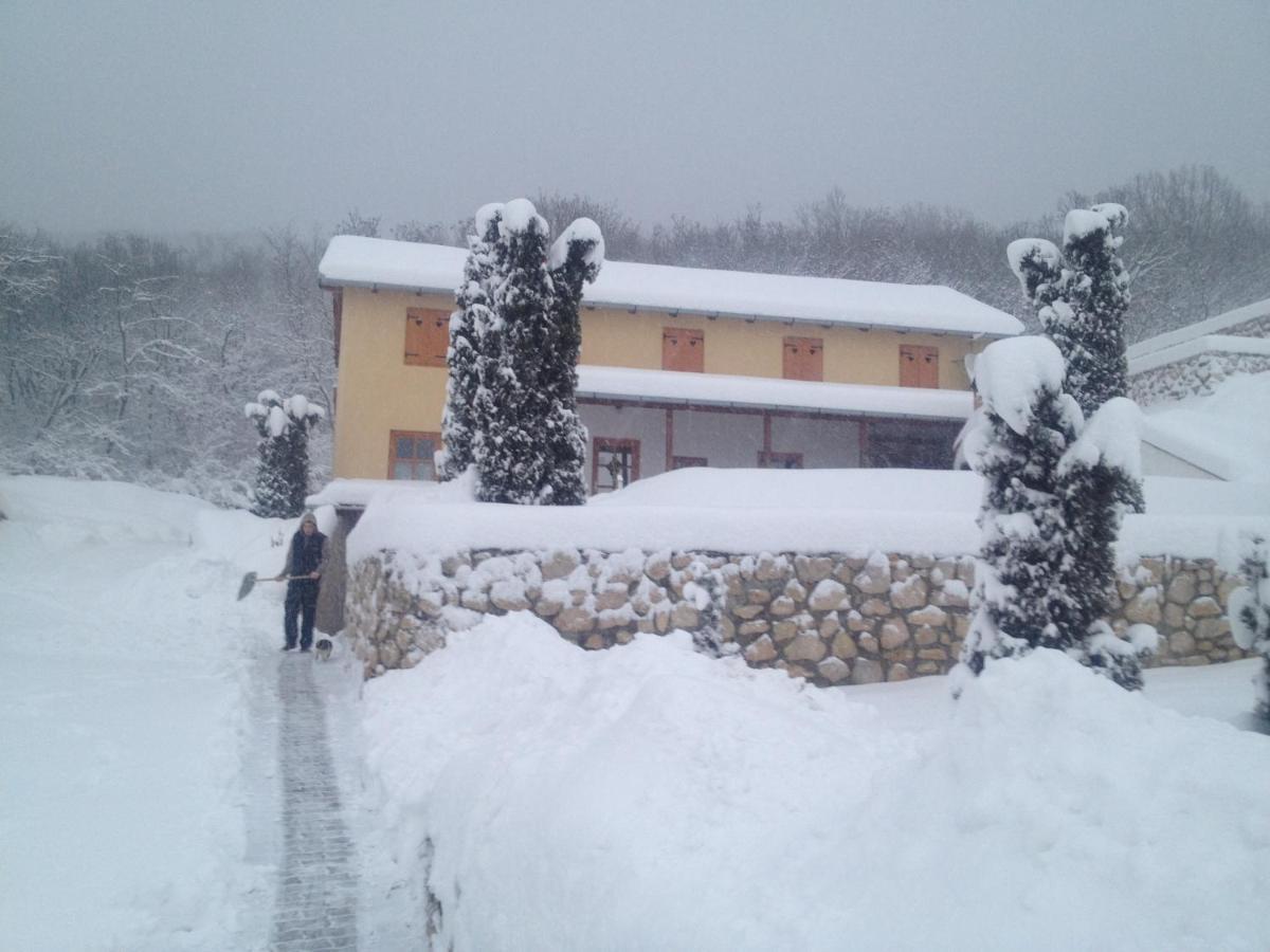 Judit Vendeghaz Suemeg Hotel Luaran gambar